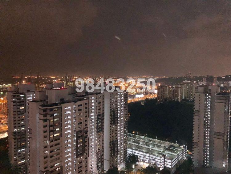 Blk 1G The Pinnacle@Duxton (Bukit Merah), HDB 5 Rooms #169171762